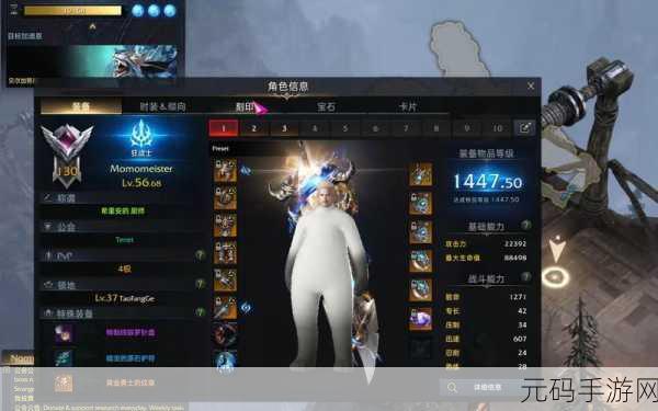 失落的方舟，深入解析装备品质的关键作用