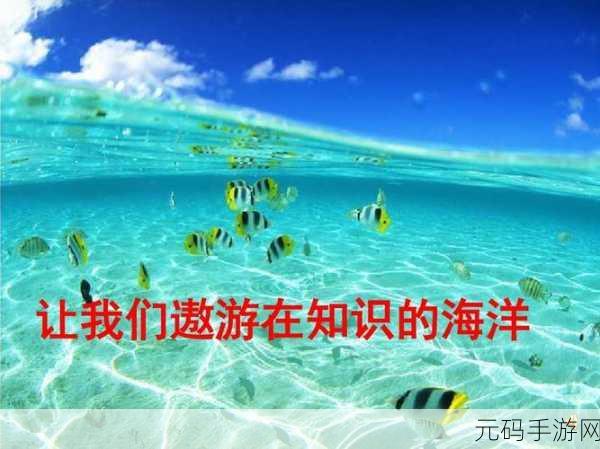 大海贼探险物语无限金币版震撼发布，像素风情带你遨游经营海洋