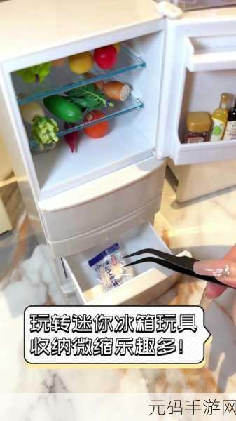 装满冰箱挑战乐趣无限,破解版无广告下载畅享休闲益智新体验
