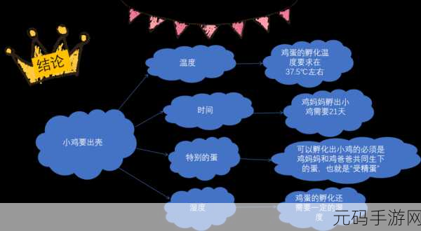 探秘物理奇趣世界,快乐前行游戏引领休闲新风尚