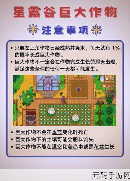 星露谷物语，甜菜根种植与收获全攻略