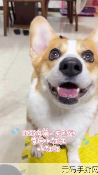 萌宠来袭,欢乐旺旺犬带你合成消除赚红包!