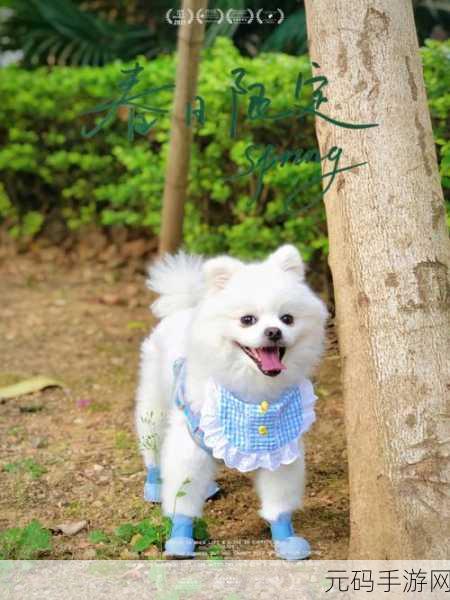 萌宠来袭,欢乐旺旺犬带你合成消除赚红包!