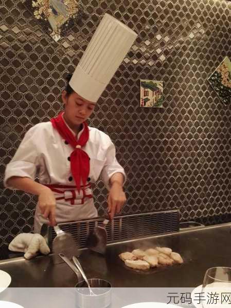 烹饪狂热席卷而来!疯狂的烹饪厨师带你领略逼真美食之旅