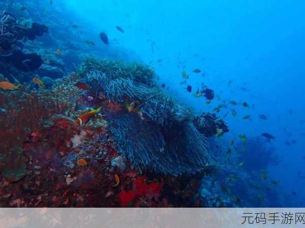 假装鱼缸模拟器大热，打造你的私人海底世界，乐趣无穷！