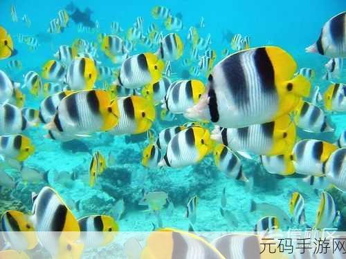 假装鱼缸模拟器大热，打造你的私人海底世界，乐趣无穷！