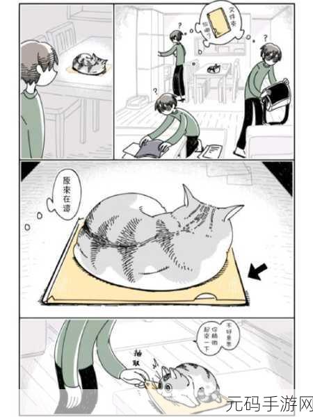 萌宠新纪元，我的说话猫Lily2来袭，魔性养猫乐趣无限！