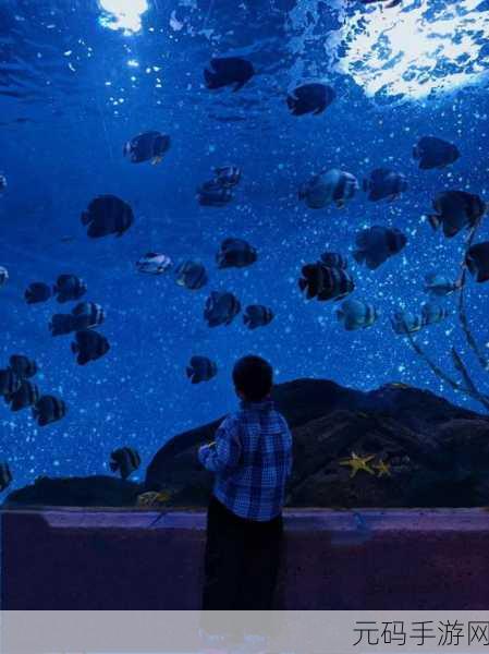 海底奇遇，清新极简风冒险游戏，探索梦幻深蓝世界