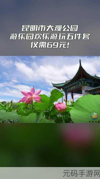 抖音热门新游来袭,救救女王,智解谜题乐享休闲时光!