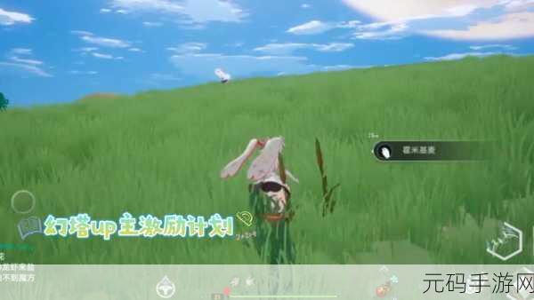 幻塔赤米基麦，探秘神秘之地的全方位指南