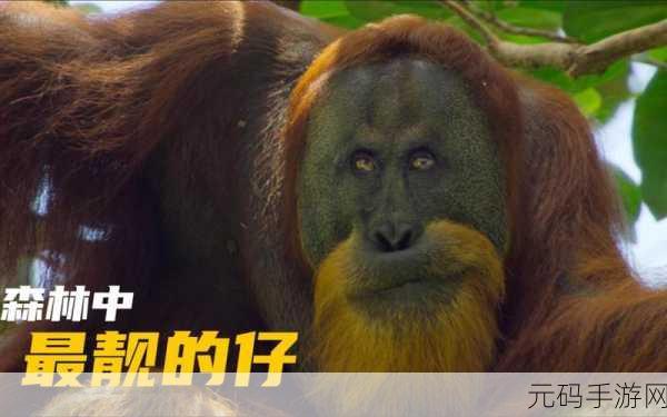 贪吃怪大作战震撼上线，重温经典，强者吞噬弱者的智慧较量！