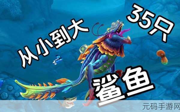 饥饿鲨进化新纪元，2024破解版震撼登场，畅享无限畅游海底世界