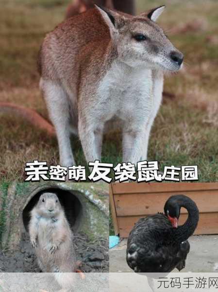 精灵萌宝贝，萌宠养成新纪元，正版下载开启欢乐之旅