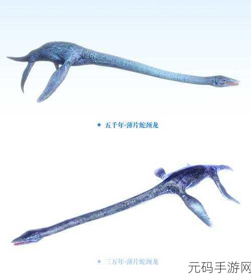 妄想山海清神丸制作全攻略