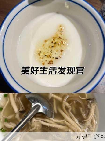 美味城市IO，舌尖上的竞技狂欢，下载开启趣味新篇章