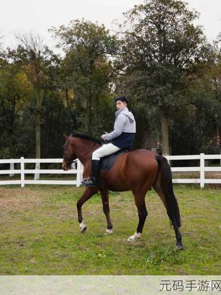 ETG马术盛宴,Equestrian the Game手机版震撼登场,骑马竞技与管理并重