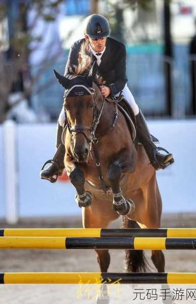 ETG马术盛宴,Equestrian the Game手机版震撼登场,骑马竞技与管理并重