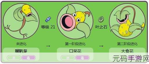 宝可梦大探险,臭臭花进化美丽花秘籍大公开