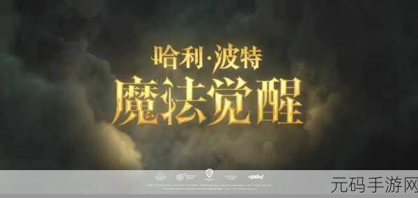 哈利波特魔法觉醒,隐藏彩蛋大揭秘