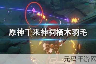 不思议迷宫限量版扫帚获取全攻略