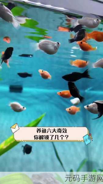 快来养鱼，解锁你的悠闲生活，放置模拟新体验等你来探索！