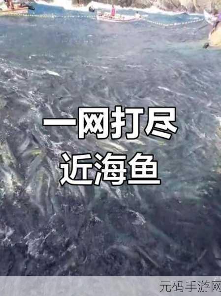 集结号捕鱼3D震撼登陆手机端,万千玩家共赴海底盛宴!
