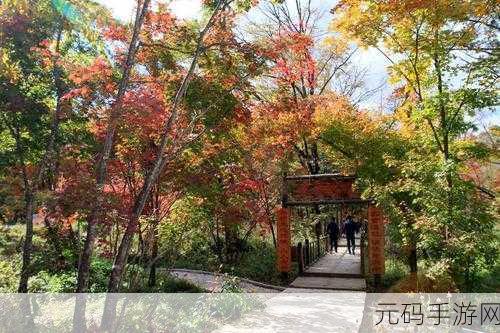 使命改头换面,重塑乐趣,解锁休闲益智新境界游戏下载热潮