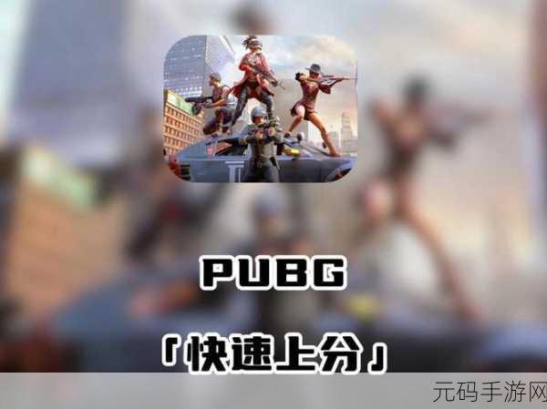 绝地求生2024年最新版震撼发布,正版吃鸡游戏等你来战