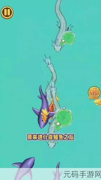 召唤神龙风靡全网,简单版来袭轻松畅玩!