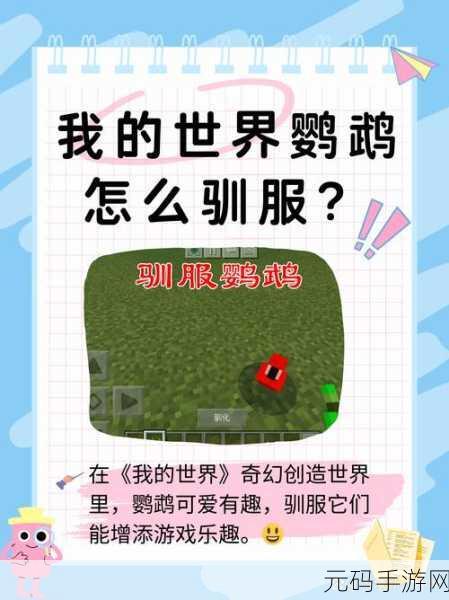 我的世界手游中鹦鹉与曲奇的奇妙关联及可行性深度剖析