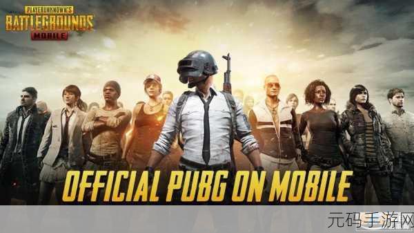 绝地求生新纪元,PUBG国际服手游下载官方正版,开启3D射击竞技冒险之旅