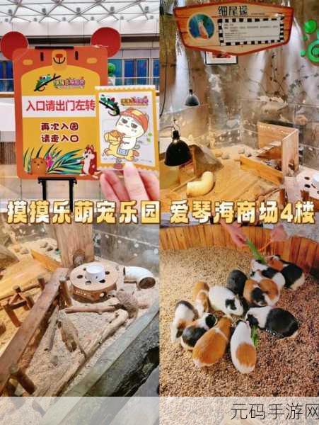 萌宠乐园新宠驾到!宝宝爱汪汪游戏下载,开启卡通动物养成奇妙之旅