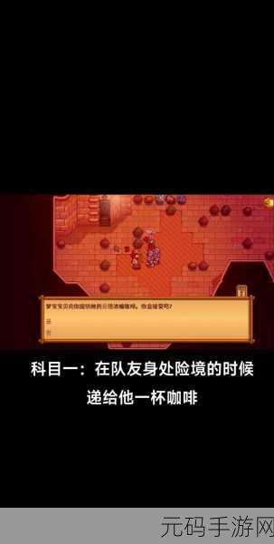 星露谷物语，海莉九星升级全攻略秘籍