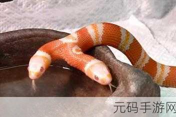 贪吃的苹果蛇双头挑战来袭，创新玩法引爆下载热潮