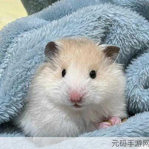 萌宠旋律舞动指尖,猫的旋律游戏下载热潮席卷休闲玩家