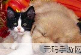 萌宠旋律舞动指尖,猫的旋律游戏下载热潮席卷休闲玩家