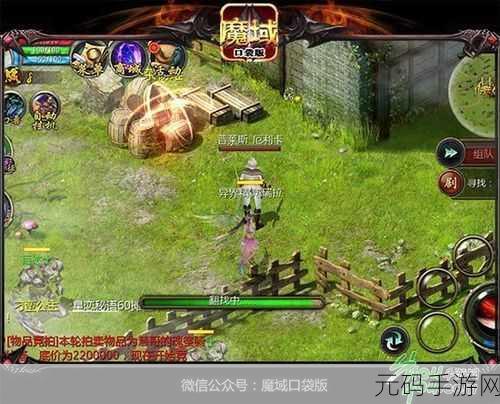 魔域口袋版小米版震撼上线，专为小米玩家定制的热血格斗盛宴