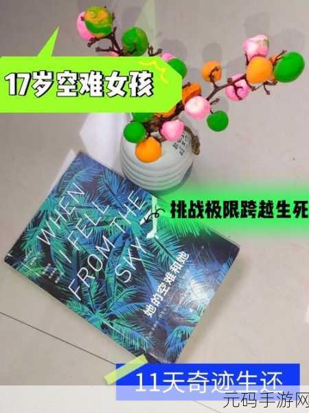 空难背后的智慧挑战,准备冲撞游戏震撼上线