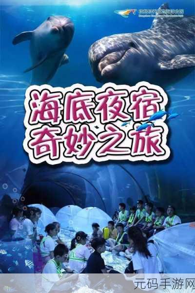 探秘海洋奇趣，捕鱼船长——安全无广告，点击钓鱼新体验！