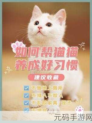 萌宠治愈新纪元，我的完美猫屎咖啡店中文版温馨登场