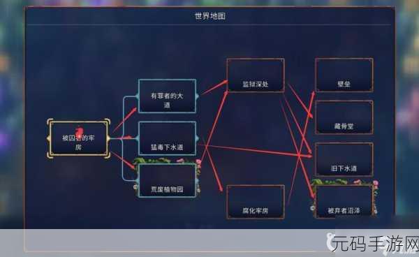 重生细胞，探秘山洞路线的终极指南