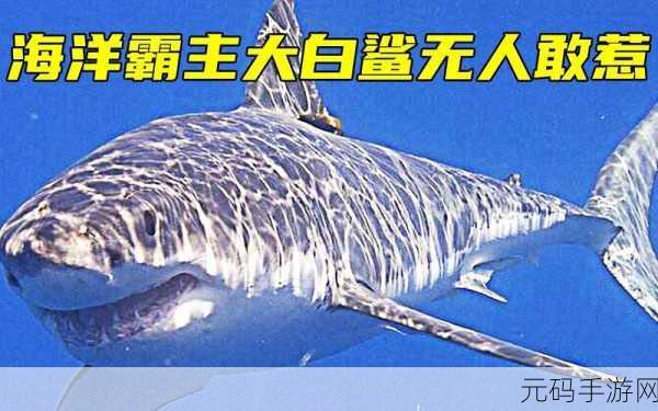 大白鲨大作战席卷而来，探索海洋霸主的趣味竞技之旅