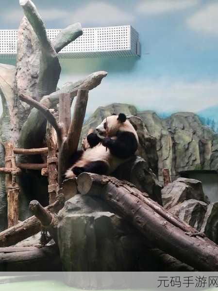 萌趣启程！熊猫爱旅行官方正版消除之旅等你探索