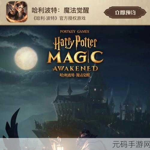 哈利波特魔法觉醒，魔杖更换秘籍大公开