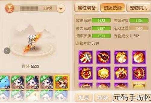 梦幻西游手游，攻宠纹饰属性的最佳抉择指南