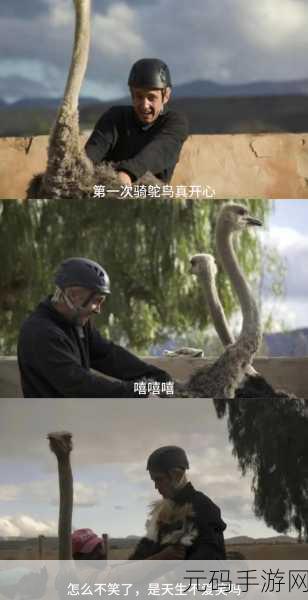 下落的汤姆风靡指尖,挑战你的敏捷极限!