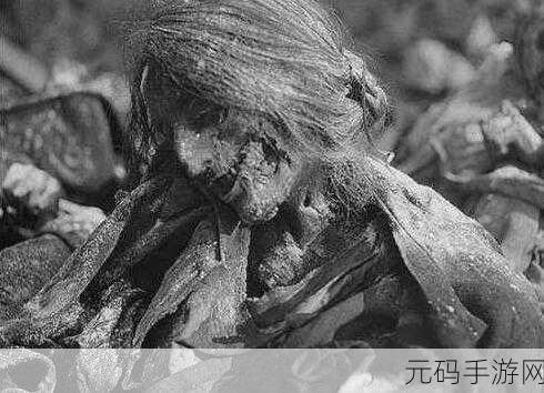 探寻心灵深处的哀愁，世界上最悲伤的人偶游戏震撼上线，剧情党不可错过的文字盛宴