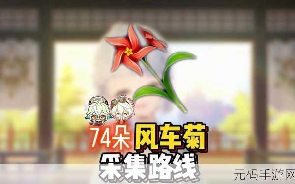 原神班尼特突破必备，风车菊采集全攻略