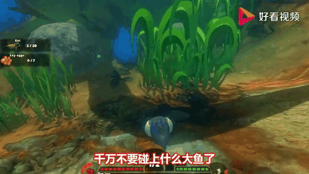 海底大猎杀震撼来袭,解锁绿色钥匙菜单,尽享养成、生存与联机新体验!