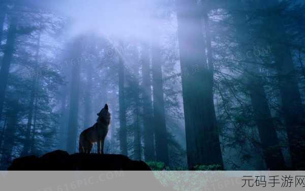 穿越虚拟迷雾，探索VR魔幻丛林，手机版下载现已开启，丛林打怪冒险一触即发！